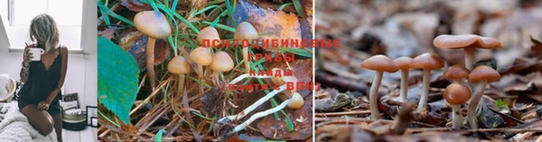 эйфоретик Абдулино