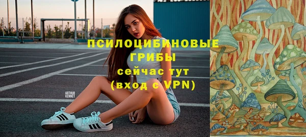 apvp Семёнов